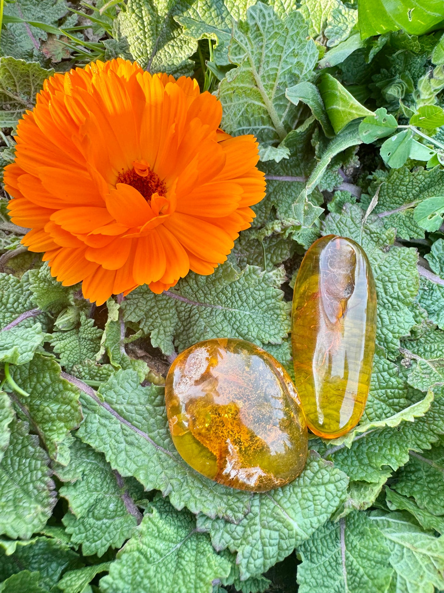 Amber