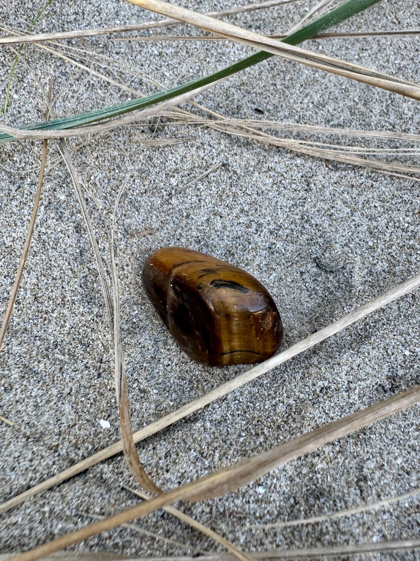 Tiger's Eye