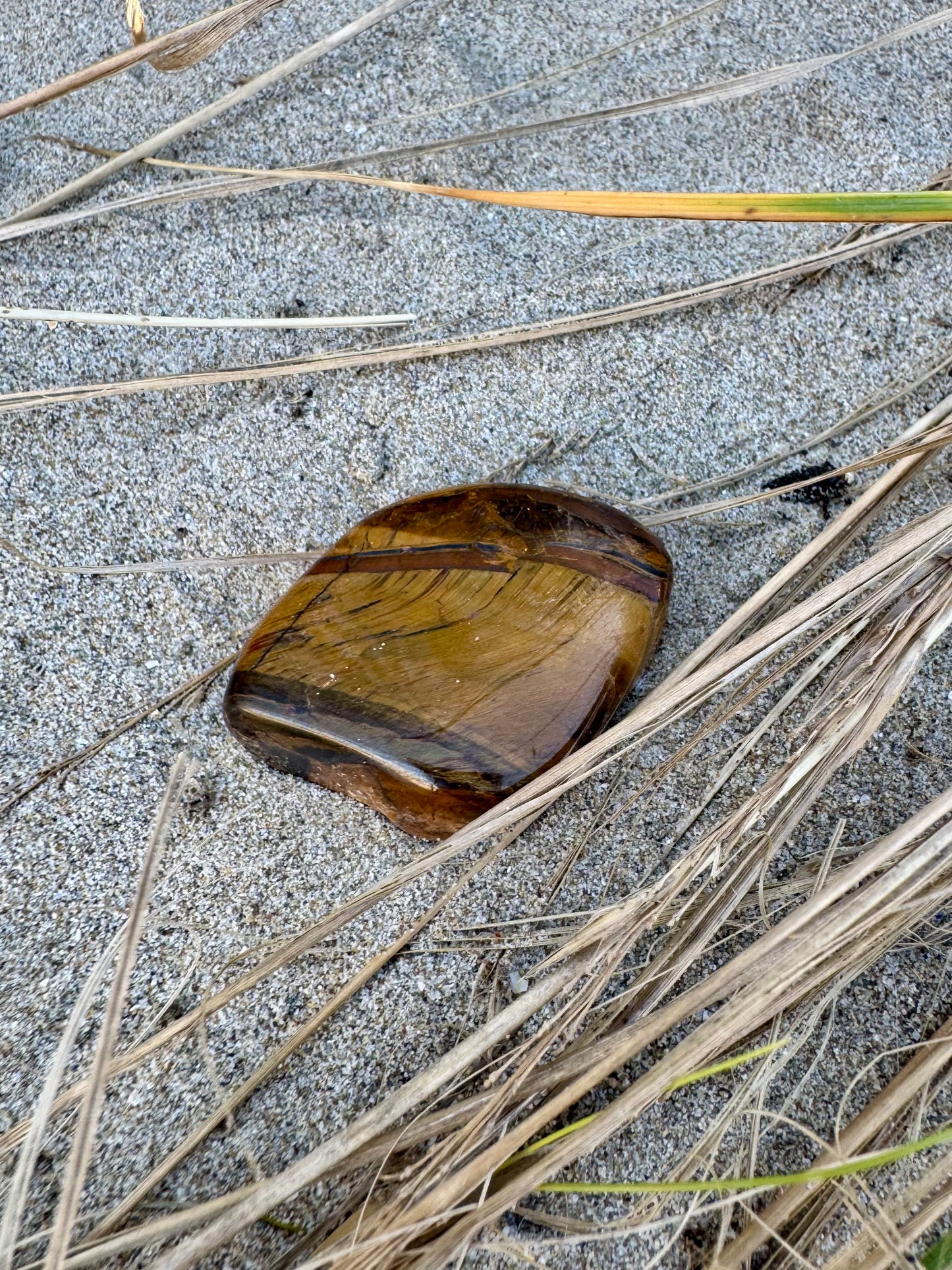 Tiger's Eye