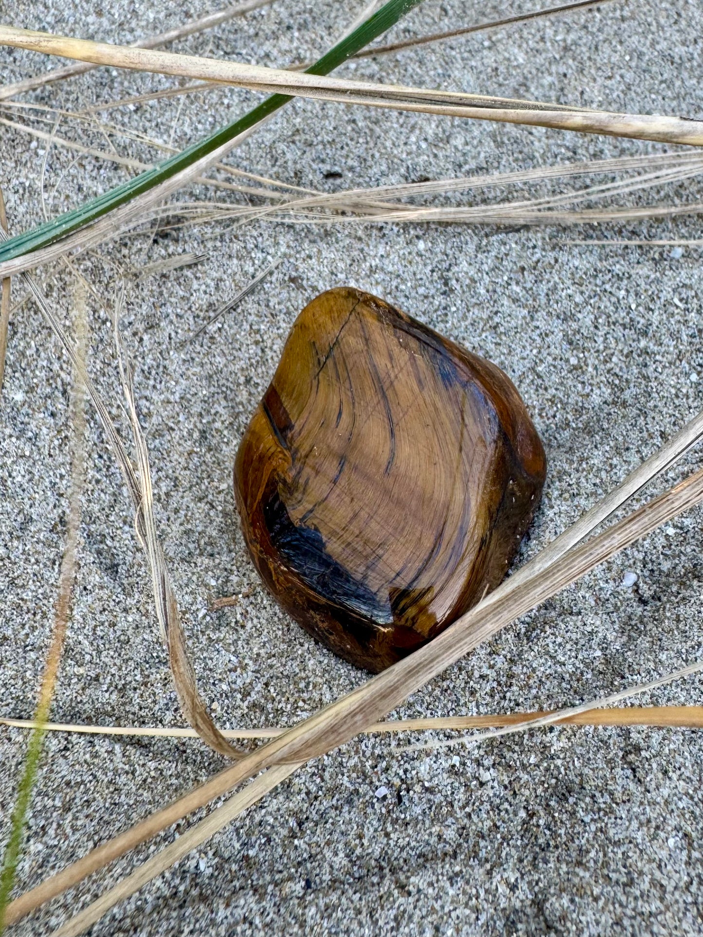 Tiger's Eye