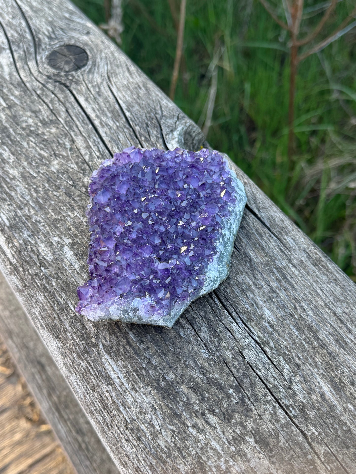 Amethyst Druse
