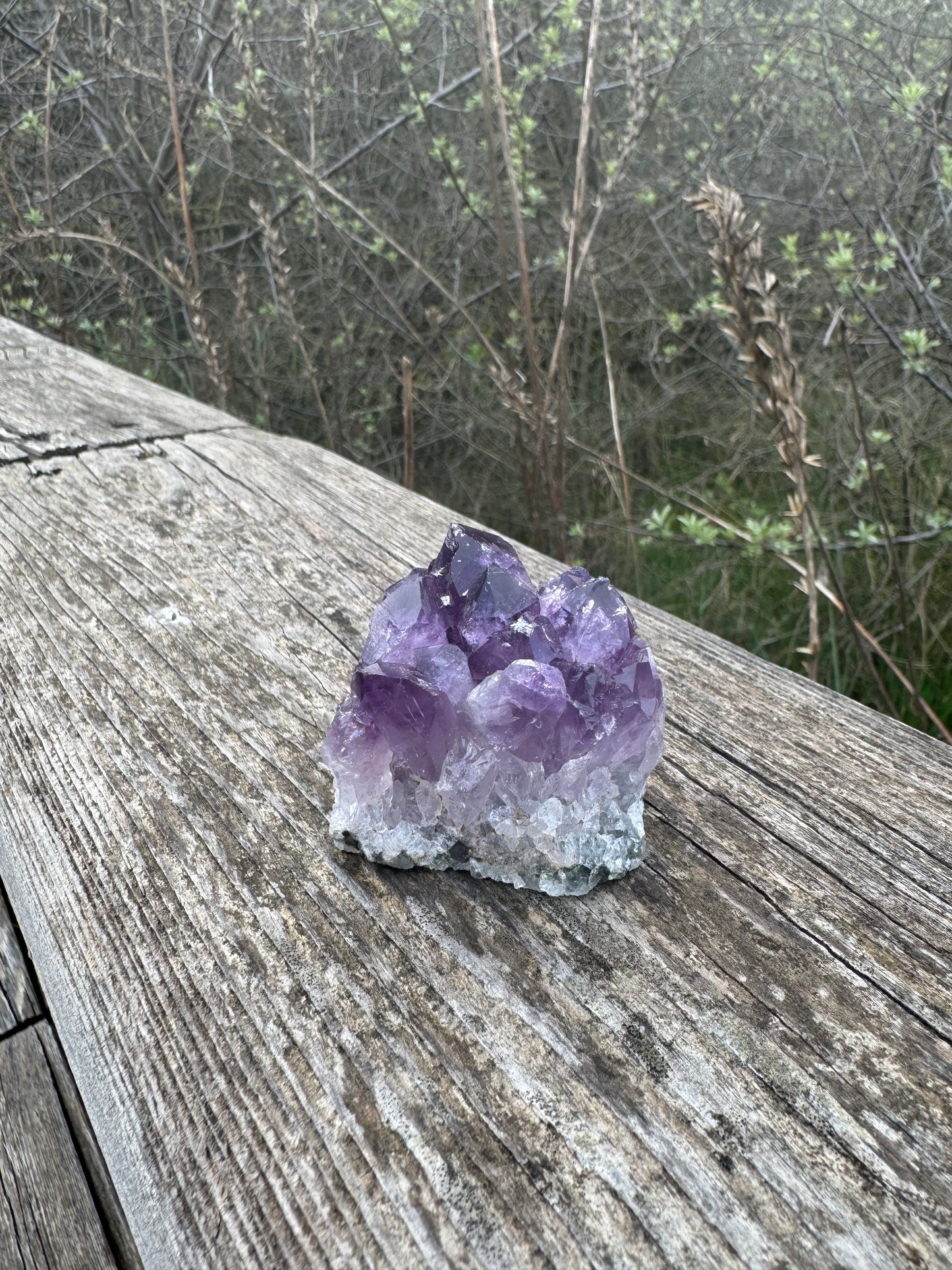 Amethyst Druse