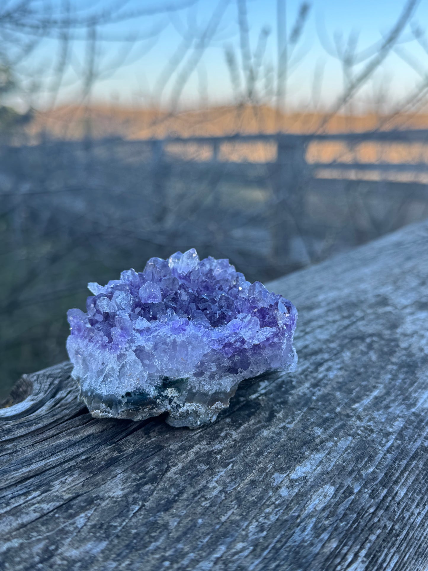 Amethyst Druse