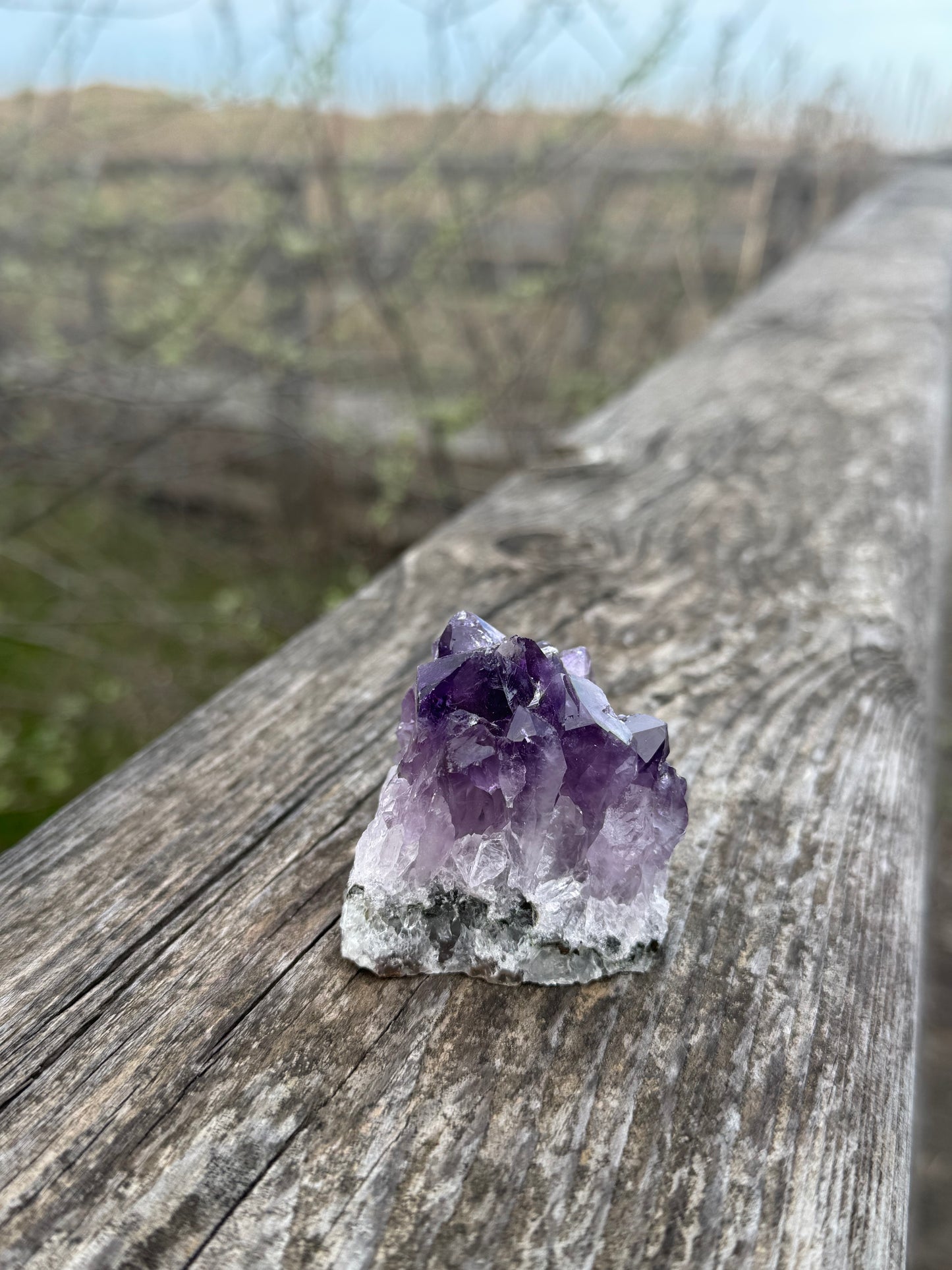 Amethyst Druse