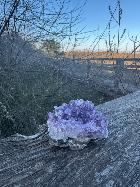 Amethyst Druse
