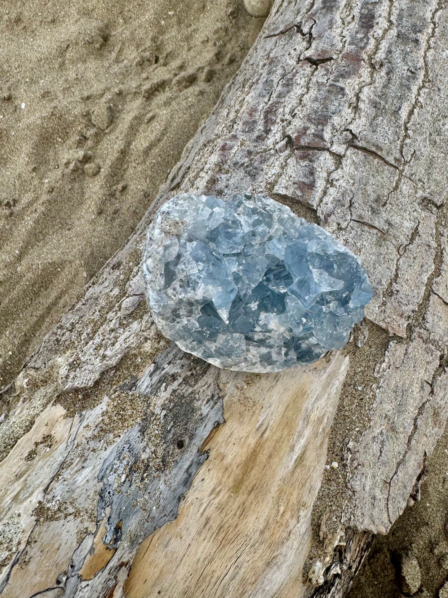 Celestine Druse