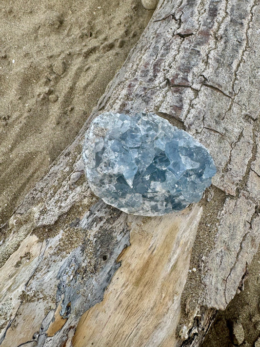 Celestine Druse