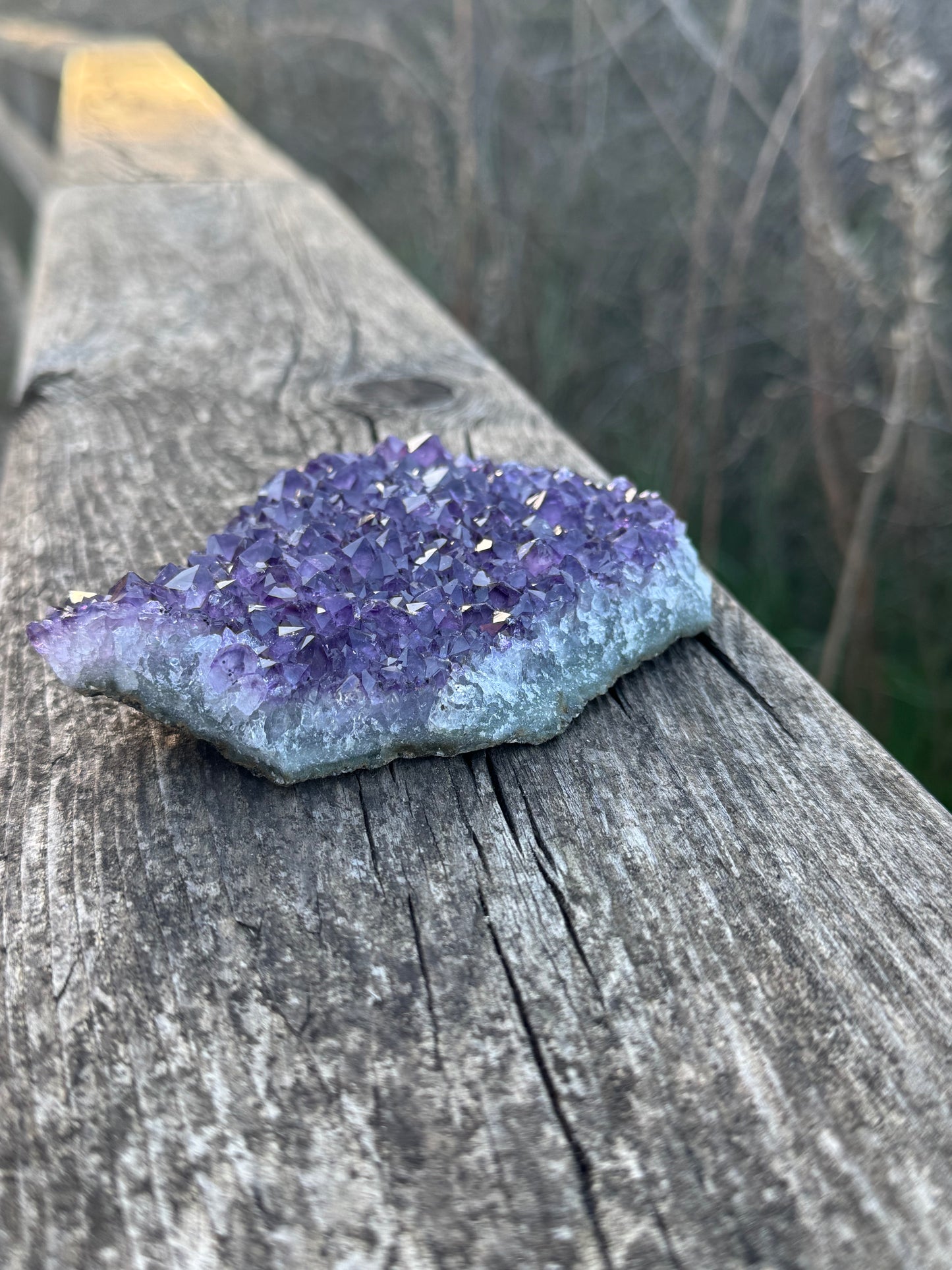 Amethyst Druse