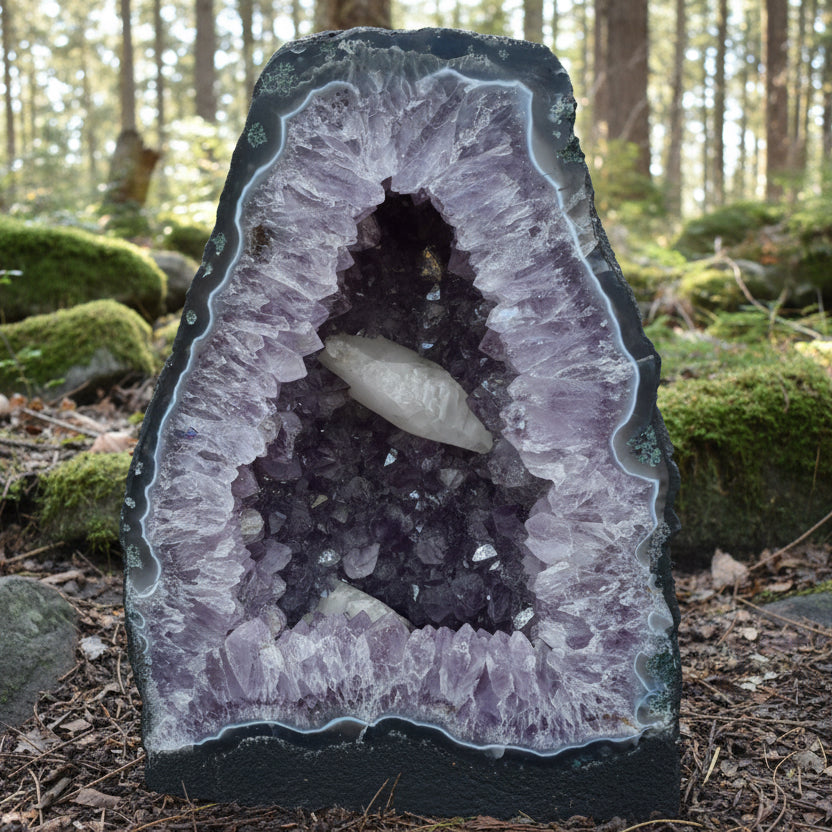 Cattedrale di Ametista con Quarzo Ialino – Brasile