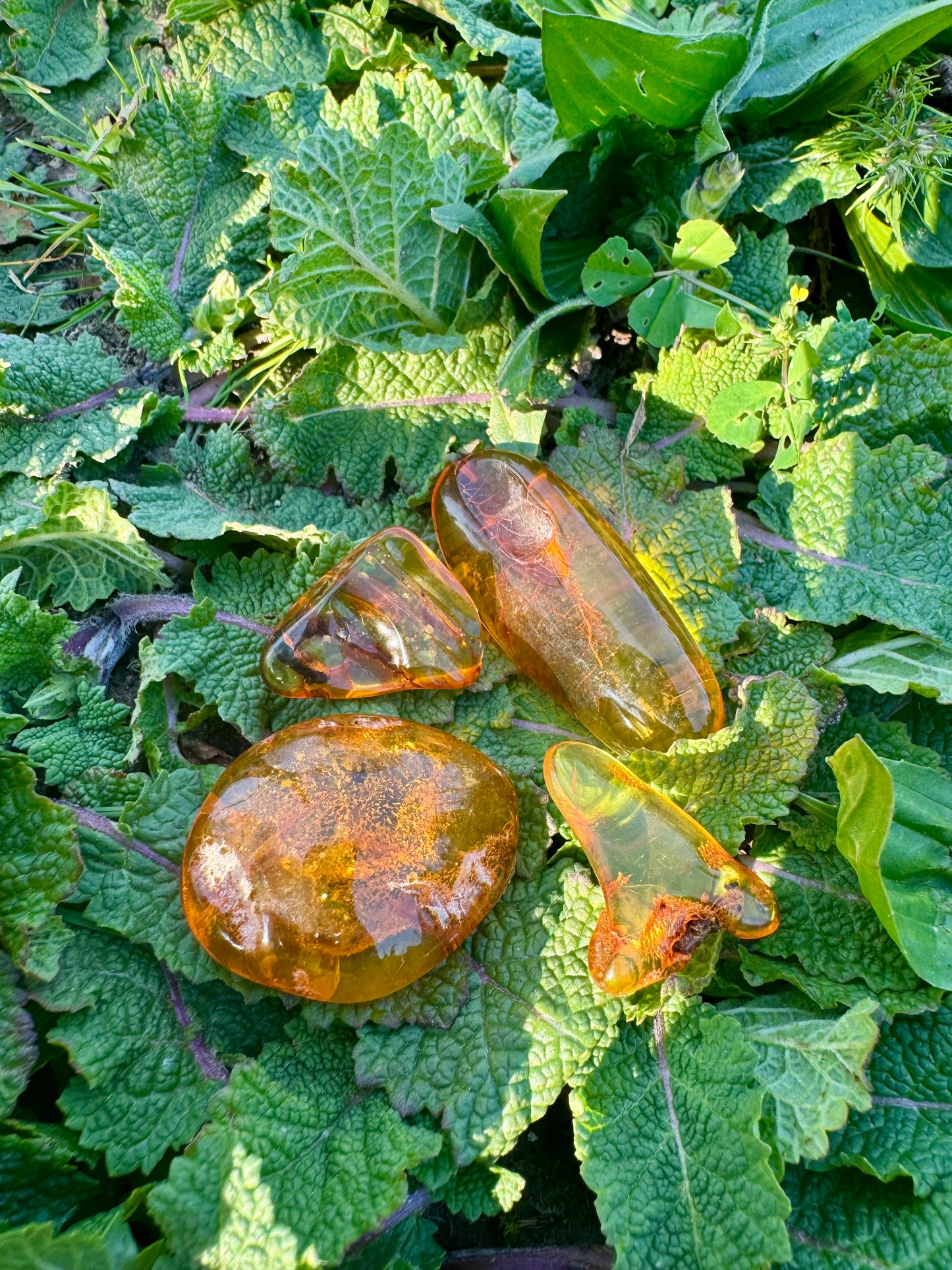 Amber
