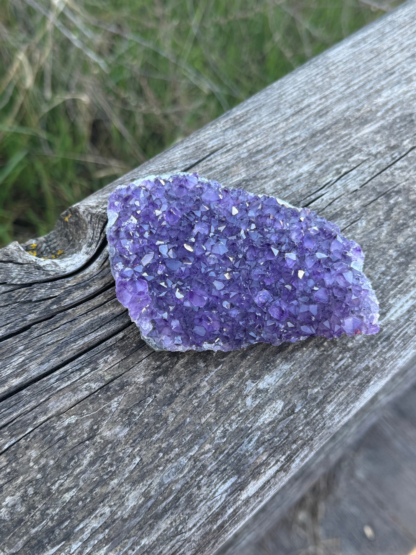Amethyst Druse