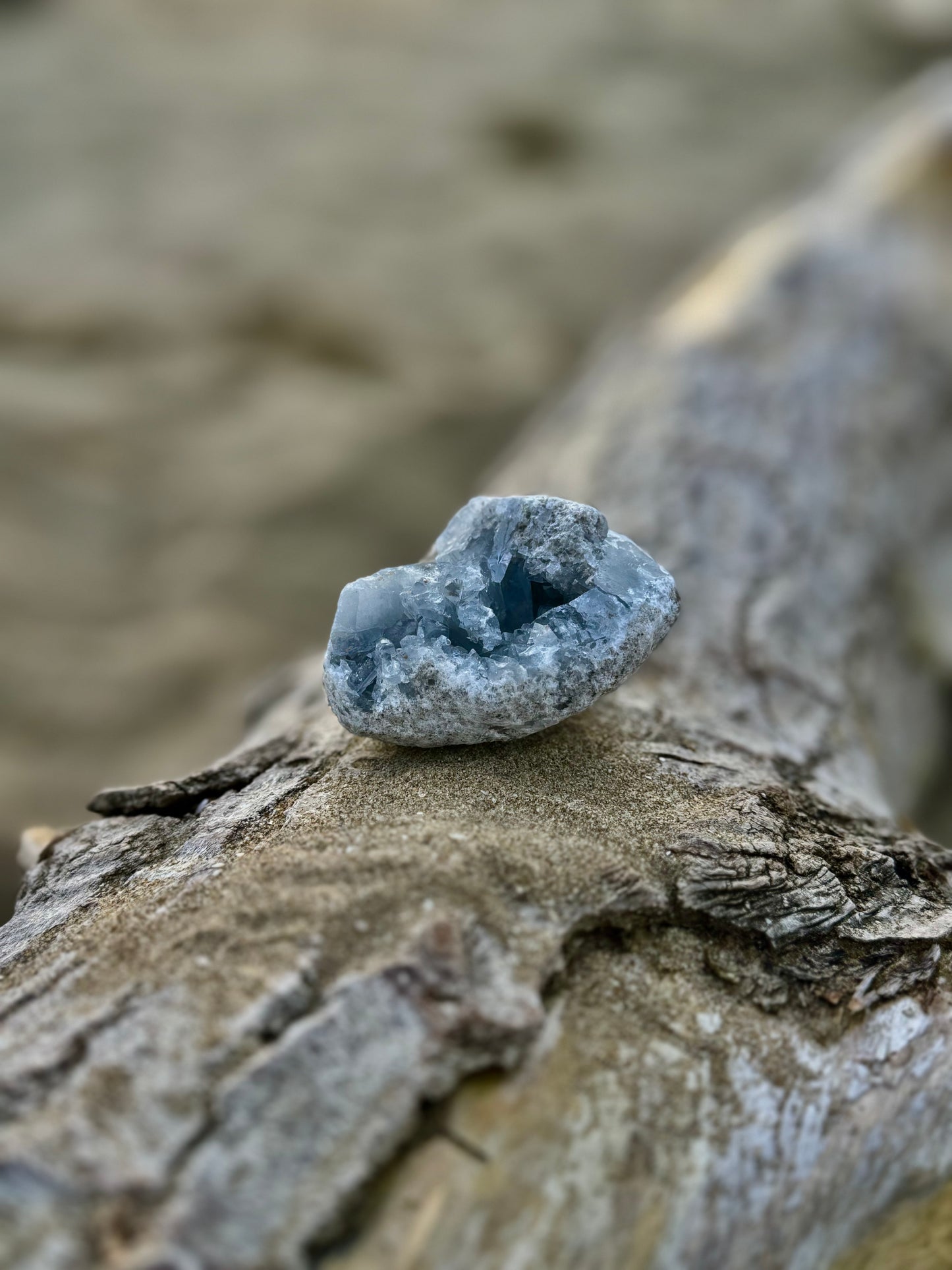 Celestine Druse