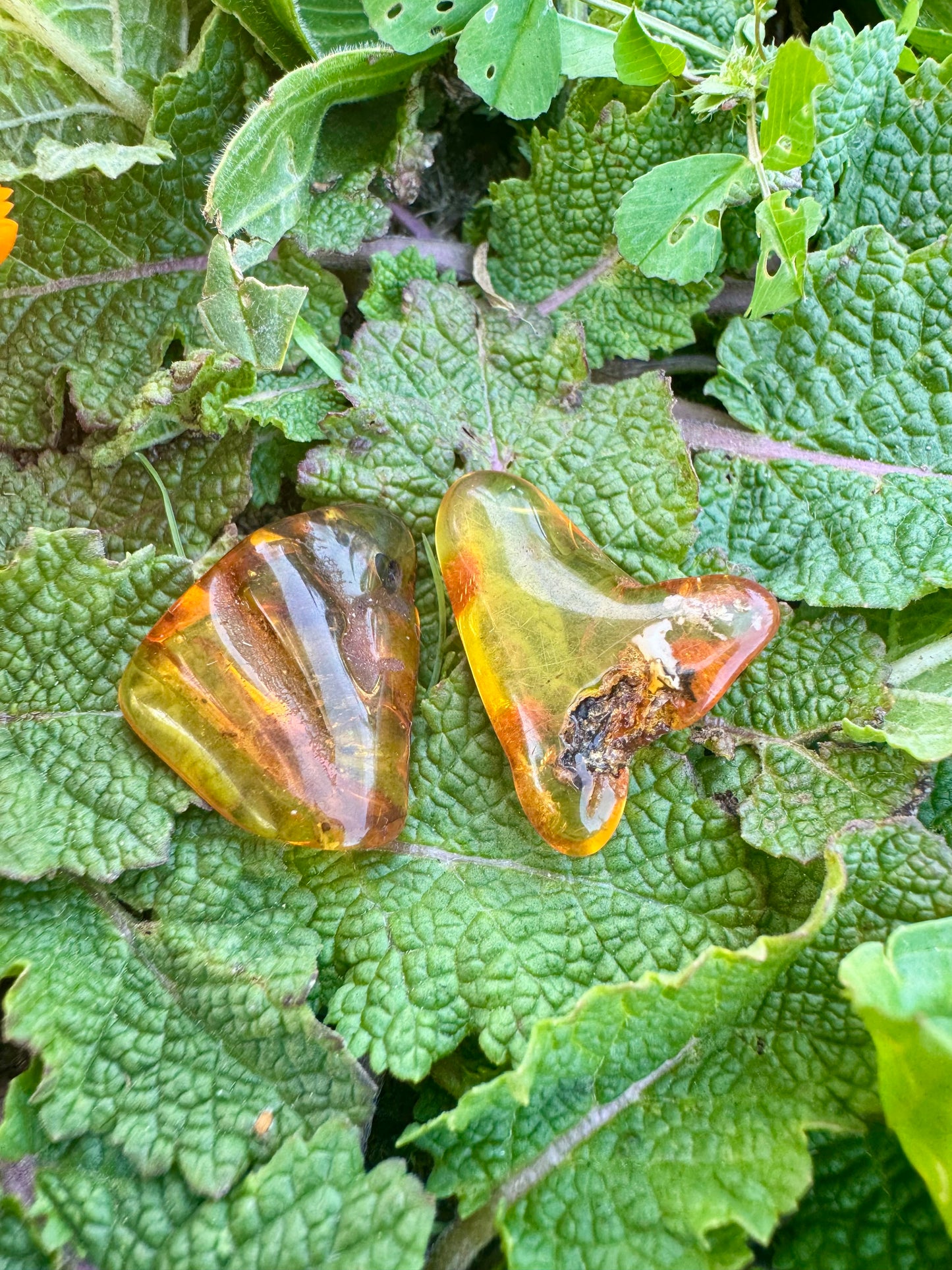 Amber