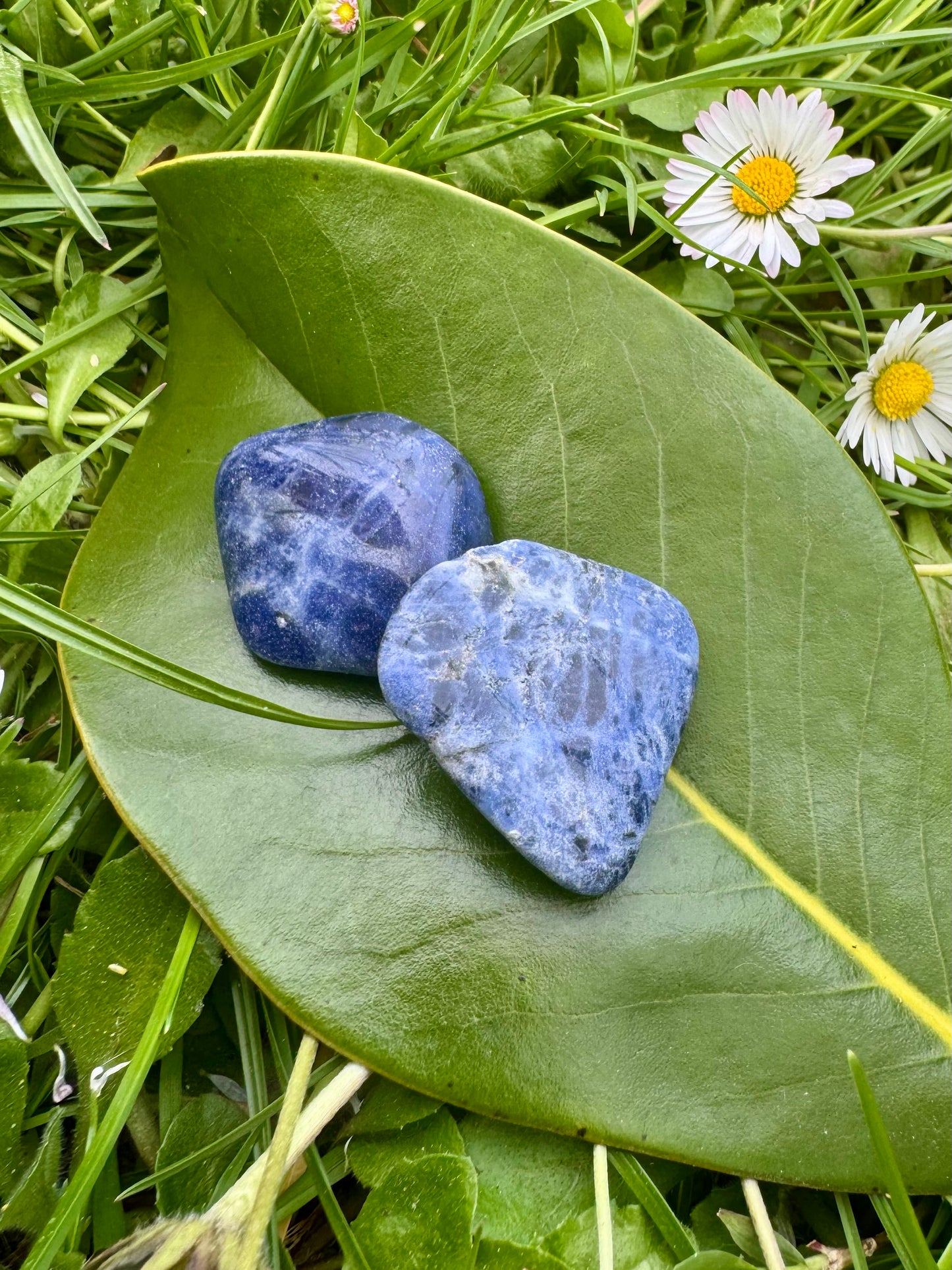 Blue Sodalite