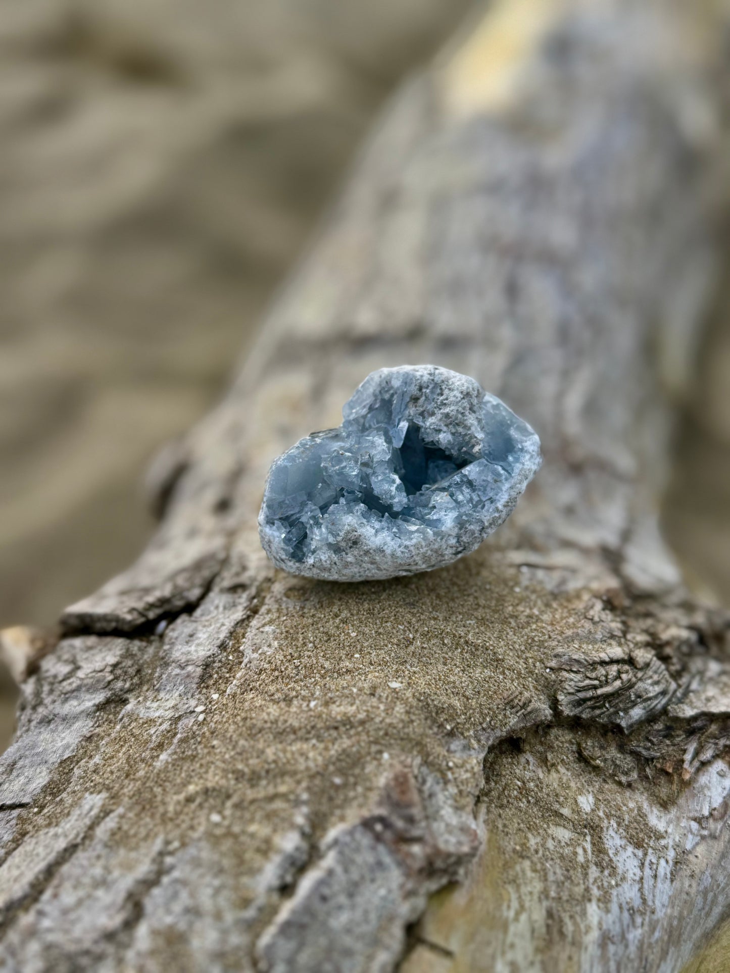 Celestine Druse