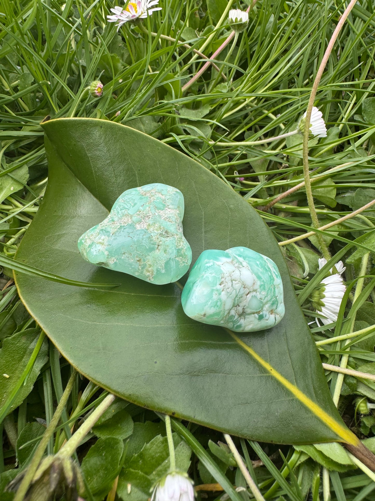 Chrysoprase
