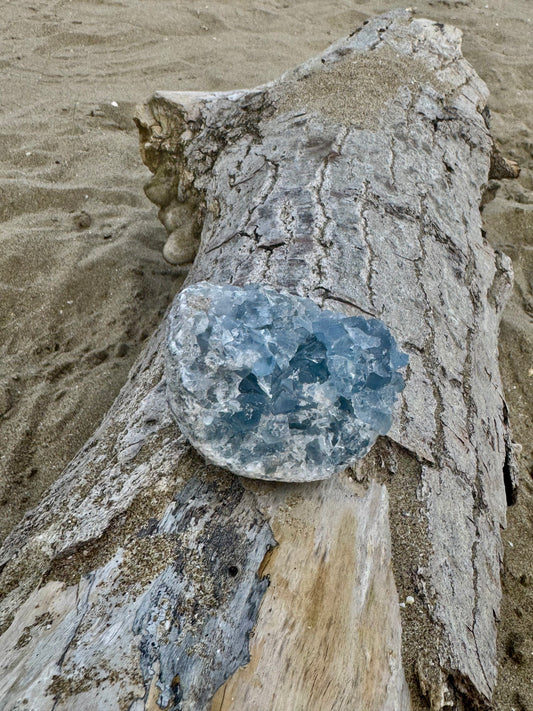 Celestine Druse