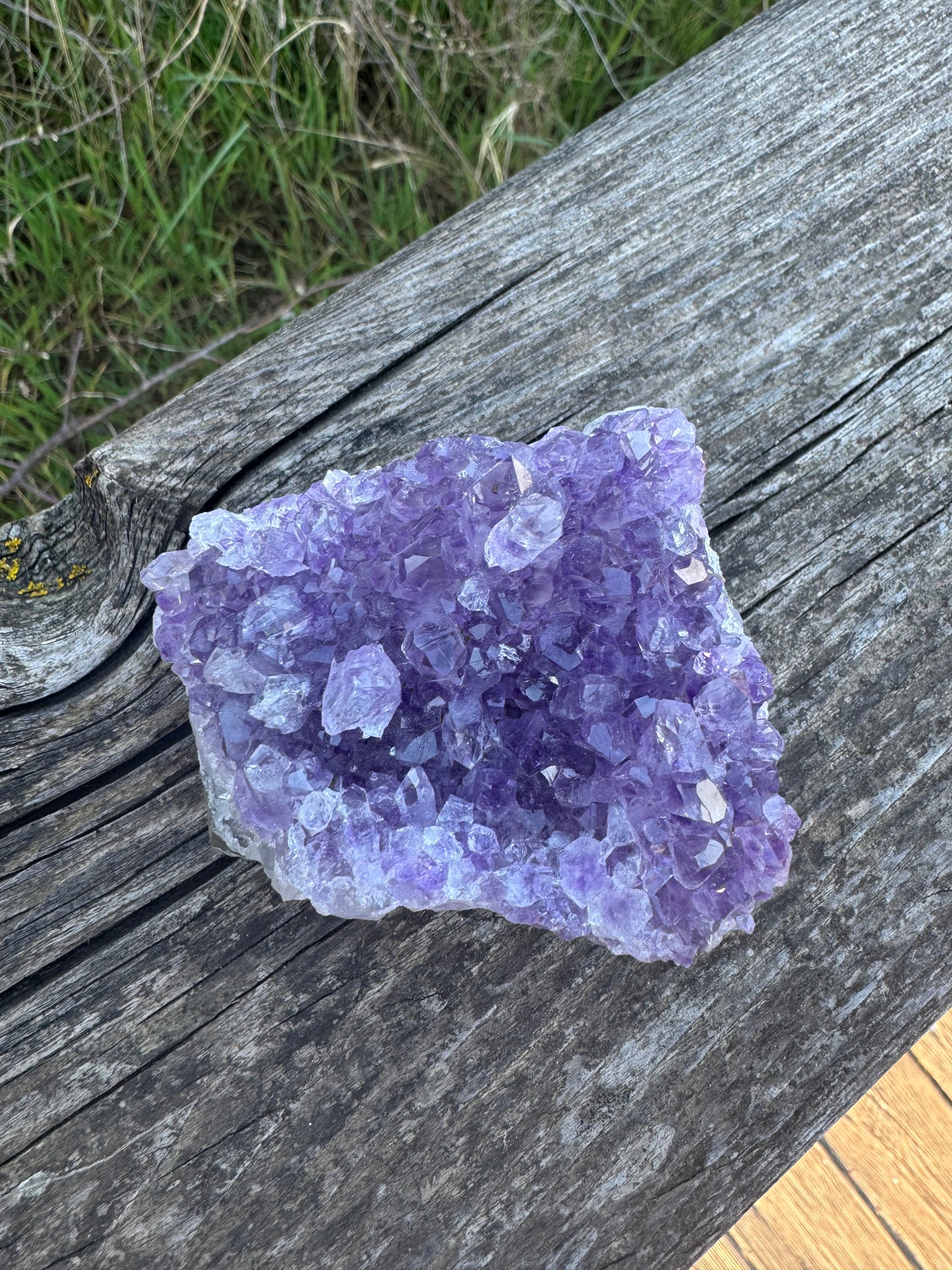 Amethyst Druse